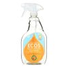Earth Friendly Orange Plus Cleaner Spray - Case Of 6 - 22 Fl Oz