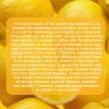 LOCRED Supercalm Powdered Drink Mix, Raspberry Lemonade, L Theanine, Ksm-66 Ashwagandha, Magnesium Glycinate, Vitamin D 3, Supplements for Relaxation