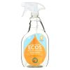 Earth Friendly Orange Plus Cleaner Spray - Case Of 6 - 22 Fl Oz