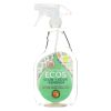 Earth Friendly Stain And Odor Remover Spray - Case Of 6 - 22 Fl Oz